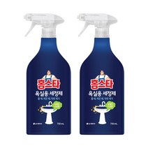 홈스타 욕실용 세정제, 750ml, 2개
