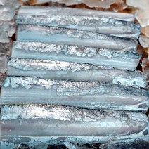 대천해 서해안 갈치 500g
