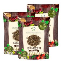 푸른들판 국내산 건조 초피 제피 나무 열매, 100g, 3개