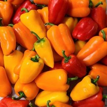 유기농 못난이 미니 라온 파프리카 1kg 2kg 5kg, 1kg(색상혼합), 1개