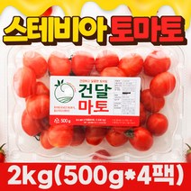 토마토2kg 싸게파는곳 검색결과