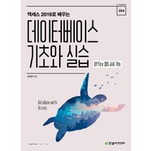 액세스 2019로 배우는 데이터베이스 기초와 실습:Office 365 사용 가능, 한빛아카데미