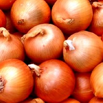 국내산 양파 3kg / 5kg / 10kg 특대 중소과 만생 장아찌용 2023년 햇양파, 5kg(중소과), 1박스