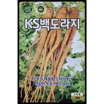 백도라지씨앗1000립 토종 백 도라지 KS종묘