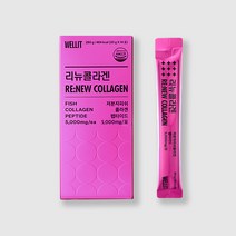 웰릿 리뉴 피쉬 콜라겐 펩타이드 콜라겐/히알루론산, 14포, 12개