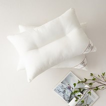 SESA 다운필 소프트2 경추베개솜 50X70, 없음