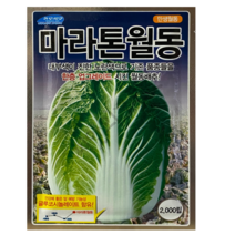 마라톤 월동 배추씨앗 2000립 CR계 뿌리혹병 글루코시놀레이트 겨울배추종자 농우바이오, 59.가을동화1000립