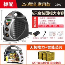 315 400 전기 용접기 산업 등급 이중 전압 220v 380v 자동 가정용 소형 순수 구리, 250정전기방지가정용모델220V표준