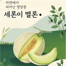 GAP 나주 세지 메론 세론이 멜론 정품 11~13brx, 흰박스(11브릭스)4수 한박스 5kg