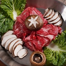 [기타브랜드] [제이제이푸드]1++ 한우 불고기 국거리 샤브용 외4종 250g, 종류:샤브샤브용