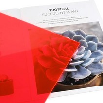 화방 판 재단 벽걸이 다용도 아크릴 네온 형광 반투명 ( ) 플렉시 유리 다목적 гст л 간 선반 보관 상자, 300x400mm, 3mm7