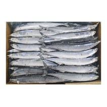 냉동 꽁치 1번 2번 구이용 식당용 박스 도매, 1번(2L)70미전후