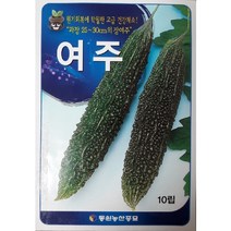 여주씨앗 100립/슈퍼여주 씨앗(대형종)/장여주씨앗, 1개