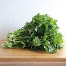 유기농 샐러리 잎샐러리, 1kg, 1개