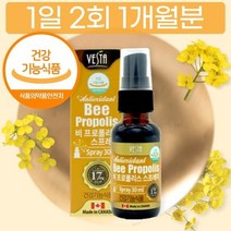 식약청 인증 정품 뿌리는 프로폴리스 스프레이 추출물 농축 가성비 액상 포르폴리스 1개, 상세페이지 참조, 상세페이지 참조