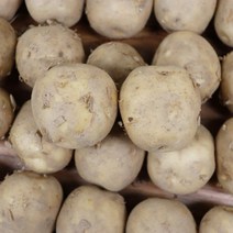 안동 햇감자 포슬포슬감자 수미감자 5kg 한정수량 알감자, 안동 수미감자 알감자 5kg, 1개