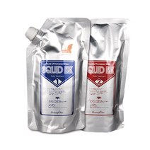 뷰티원 스퀴드 잉크 컬러 트리트먼트 (오징어 먹물컬러) 1제500g+2제500g, 1개, 2N 스퀴드 블랙