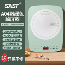 1인가구 핫플레이트 전기레인지 원형인덕션 큰화구 플레이트/인덕션 셰프컬렉션 하이브리드 주방 스토브 혼밥러 온도조절 인덕션설치, A04, B
