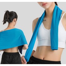 일개미몰 먼지없는 땀 닦는 수건 긴 수건 땀타올 아이스 쿨타월, 쿨타올, 그레이