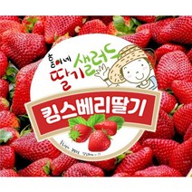 논산 킹스베리 만년설딸기 선물용딸기 대왕딸기, 킹스베리 - 왕특 / 왕특 1.2kg (22과 내외)