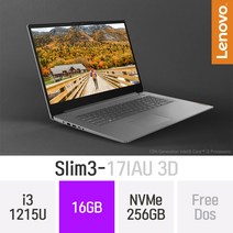 레노버 아이디어패드 SLIM3-17IAU 3D 17.3인치 12세대 사무용 인강용 가성비 저렴한 대학생 노트북, Free Dos, 16GB, 256GB