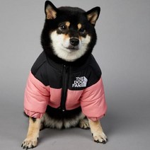2023 SUPREPET패딩 개 겨울 옷 따뜻한 방풍 솔리드 코트 코튼 디자이너 대형 강아지 액세서리, 분홍색+L