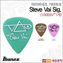 아이바네즈 1000SV, 아이바네즈 1000SV/GR