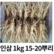 실속형 5년근 가정용인삼 1kg 15-20뿌리 무료세척 난발삼 삼계탕용 인삼쥬스 금산인삼, 세척원하지않아요(x), 1개