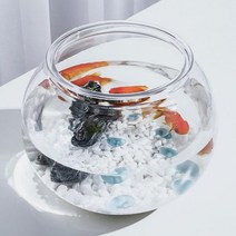 구피 키우기 베타 어항 둥근 18X16cm 원형 플라스틱 금붕어키우기 알비노폴레드구피, 플라스어항18X16cm