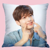 차은추 쿠션 베개 굿즈 아스트로 소품, 부드러운 양털 (베개 포함), 13