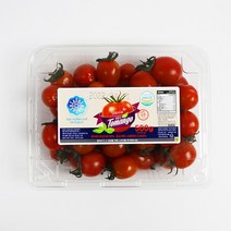 [토망고] 스테비아 방울토마토, 1개, 1kg(500g*2팩)
