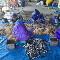 속초 산지직송 생물 양미리 1kg (30미 내외) / 반건조 양미리 1두름(20미), 반건조 양미리3두름