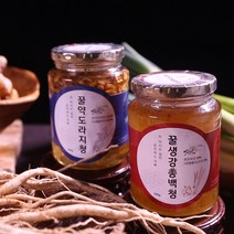 국내산 도라지로 만든 꿀 약도라지청 500g, 1개