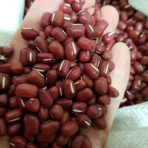 적두 팥 햇팥 팥죽팥 국산팥 22년산햇팥, 1개, 5kg