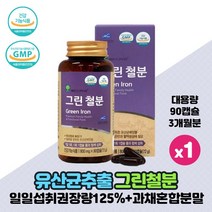 철분 영양제 비헴철 비햄철 철분제 Green Iron 임산부 수유부 여성 남성 임신준비 어린이 청소년 성장기 철분섭취 애플트리김약사네 그린 철분 건강기능식품, 90캡슐 x 1개