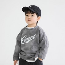[메르시보꾸] D2212 카멜브러쉬티