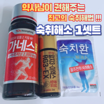 숙취해소 1셋트 숙취환 가네스 알지3 이엑스(약사추천), 5세트