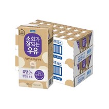 매일유업 소화가 잘되는 우유 국산 5곡 미숫가루 멸균 190ml x 24팩 x 2박스, 2개