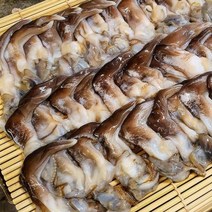 살맛나요 서해안 산지직송 생물 갯벌 동죽조개 (냉장), 2kg, 1개