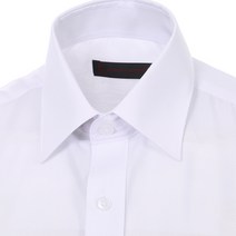 로베르따 남성 여름 텐셀 스킵 아사 드레스셔츠 반소매 일반핏 가볍고 시원한 소재 RA29051B