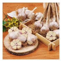 [푸르젠] 충남 서산 전병호님의 육쪽마늘 3kg(중/3.5~4cm), 1개