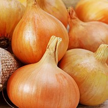 2023년 수확 밀양 햇양파 2kg/3kg/5kg/10kg, 2023 햇 양파 5kg / 중, 1개