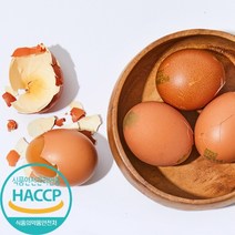 HACCP 인증 구운계란 훈제란 맥반석 구운란, 대란 / 120구 + 소금 4봉