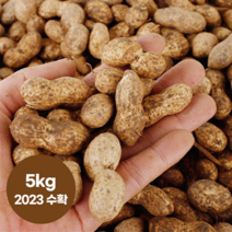 엄마마음 국내산 경북예천 우리토종 햇땅콩 생땅콩 흙땅콩 땅콩, 4kg