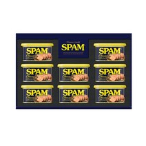 CJ제일제당 스팸 12호 x 10세트, 단품