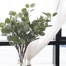 서재 사무실 실내 조경 둥근잎 유칼립투스 조화 홈스타일링 현관 좁은방꾸미기 옷가게인테리어