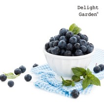[딜라잇가든]냉동 블루베리(미국산)1kg x 3, 1kg(1개), 3개