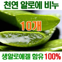 [오후5시 당일발송] 고농축 생 알로에천연비누 촉촉촉 보습진정 에너지 세수비누 비누 알로에 아이보리 세안비누 천연 얼굴 YB맘, 10개, 100g