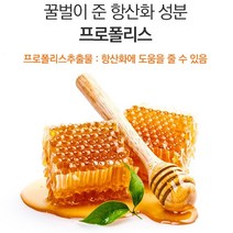 프로폴리스 아연 세포보호 면역기능 향상 플라보노이드 식약처인증 꿀벌 항산화 도움 캐나다 생산 완제품 직수입, 6개월분
