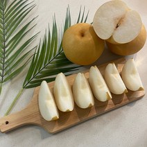 나주 신고배 햇 배 선물세트 가정용 5kg 7.5kg 15kg, 특품(선물용), 특품(선물용) 15kg /21-25과